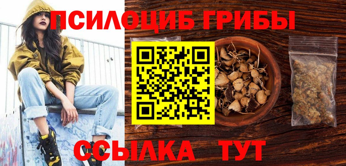 Коркино  Галлюциногенные грибы прущие грибы  Псилоцибиновые грибы прущие грибы  Вход с VPN 