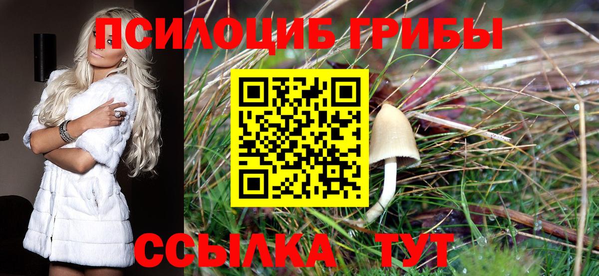 Галлюциногенные грибы Cubensis Коркино